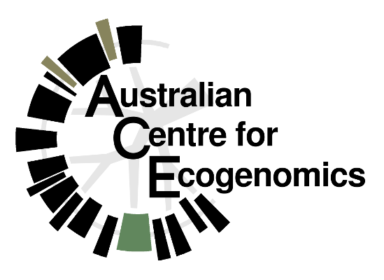 ACE Logo